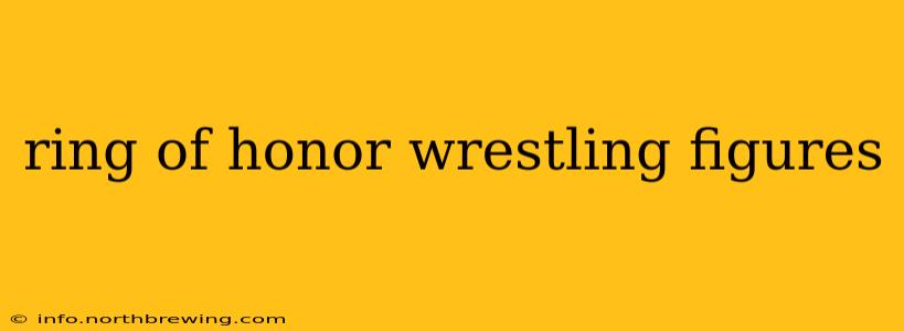ring of honor wrestling figures