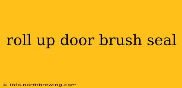 roll up door brush seal