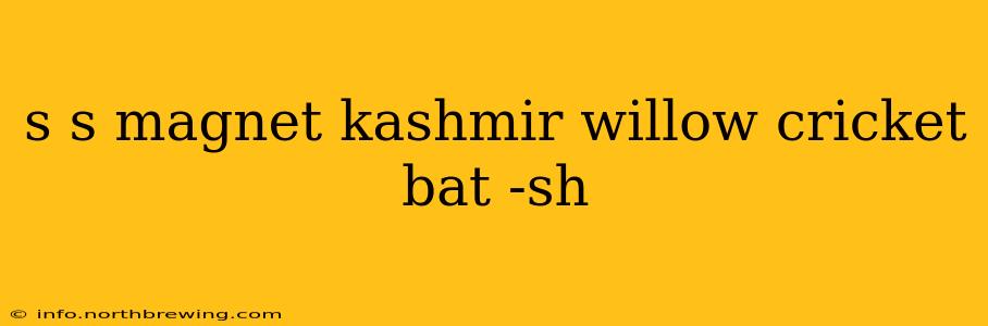 s s magnet kashmir willow cricket bat -sh