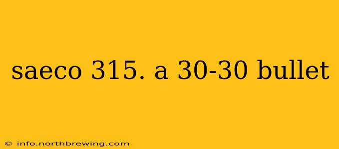 saeco 315. a 30-30 bullet