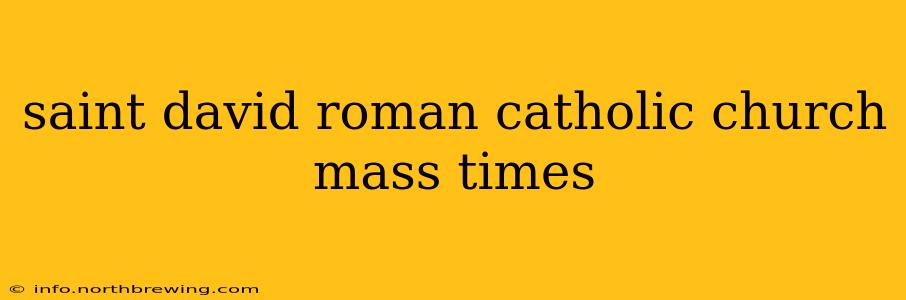 saint david roman catholic church mass times