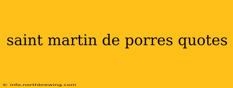 saint martin de porres quotes