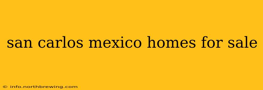 san carlos mexico homes for sale