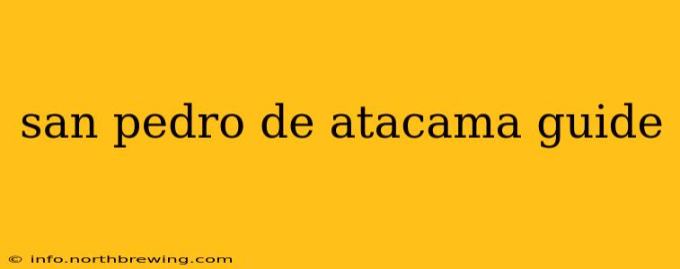 san pedro de atacama guide