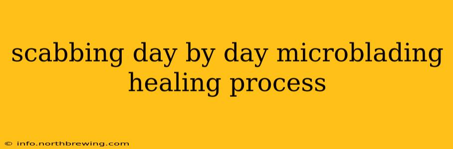 scabbing day by day microblading healing process