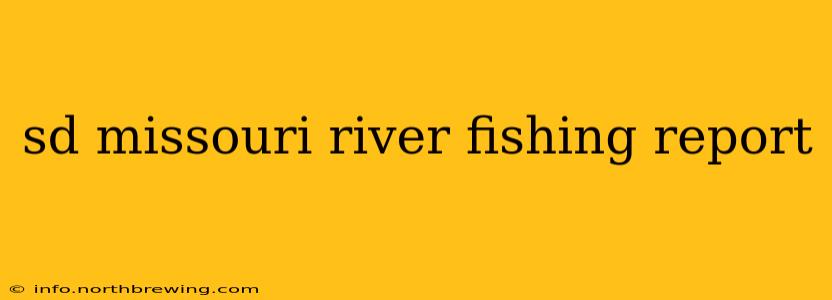 sd missouri river fishing report