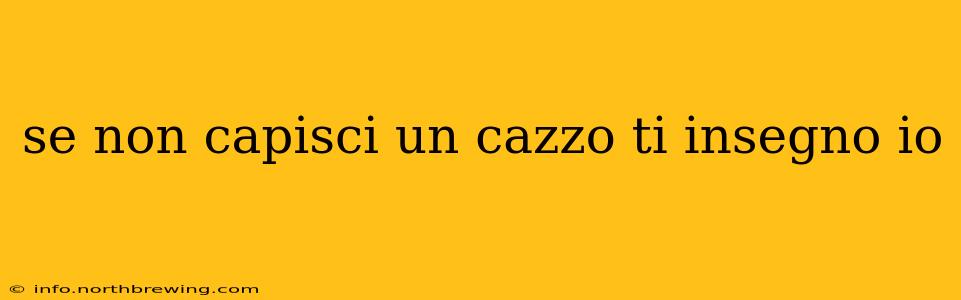 se non capisci un cazzo ti insegno io