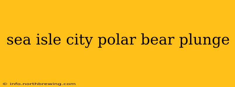 sea isle city polar bear plunge