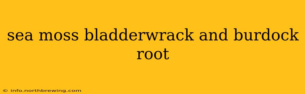 sea moss bladderwrack and burdock root
