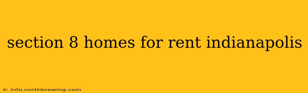 section 8 homes for rent indianapolis