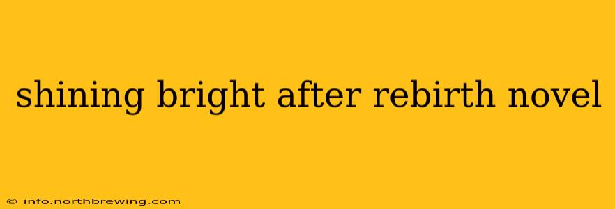 shining bright after rebirth novel