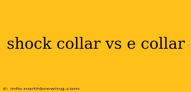 shock collar vs e collar