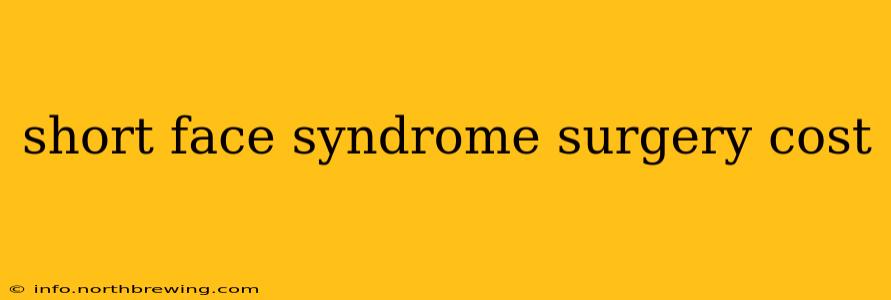 short face syndrome surgery cost