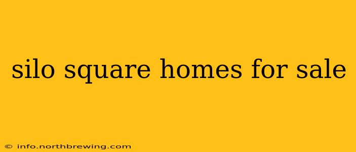 silo square homes for sale