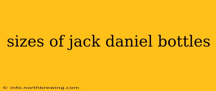 sizes of jack daniel bottles