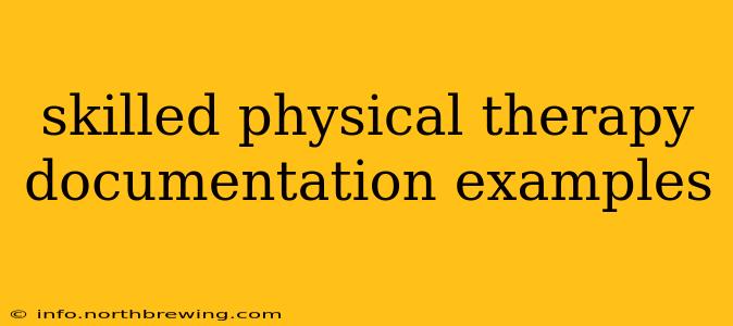 skilled physical therapy documentation examples