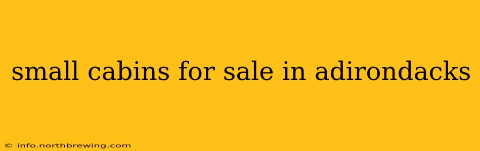 small cabins for sale in adirondacks