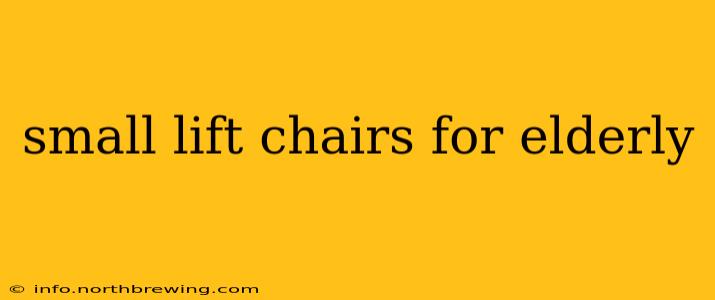 small lift chairs for elderly