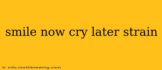 smile now cry later strain
