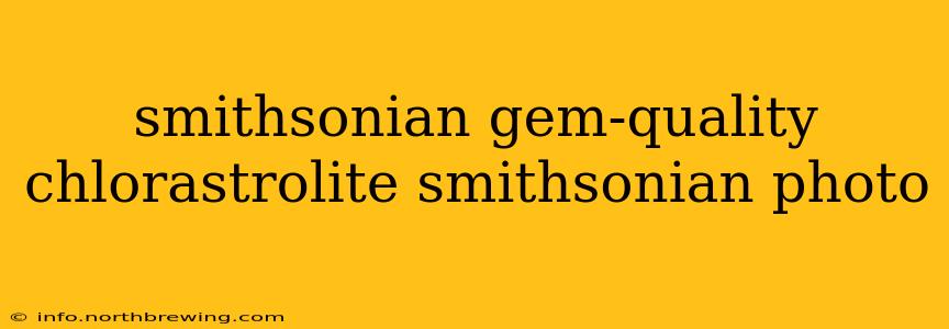 smithsonian gem-quality chlorastrolite smithsonian photo