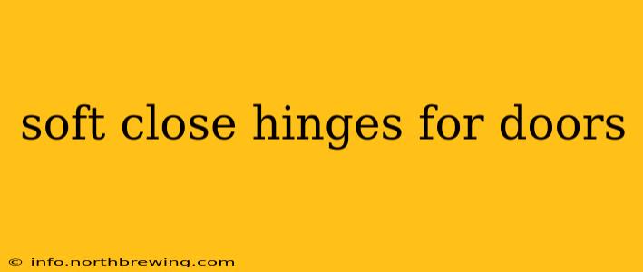 soft close hinges for doors