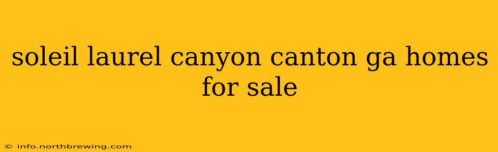 soleil laurel canyon canton ga homes for sale