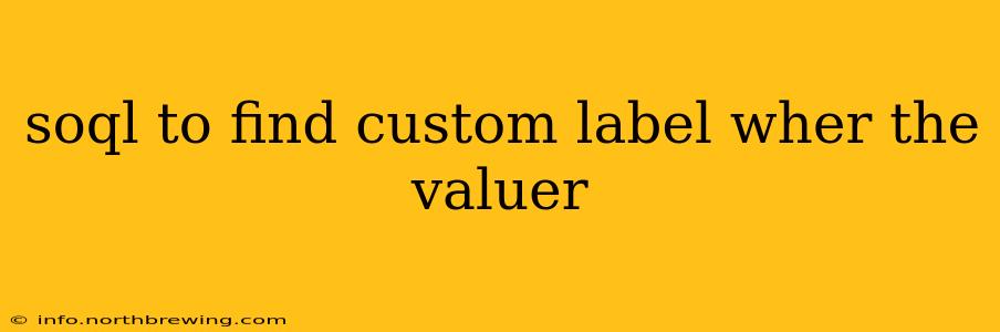soql to find custom label wher the valuer