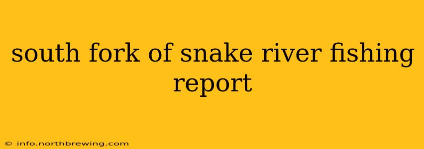 south fork of snake river fishing report