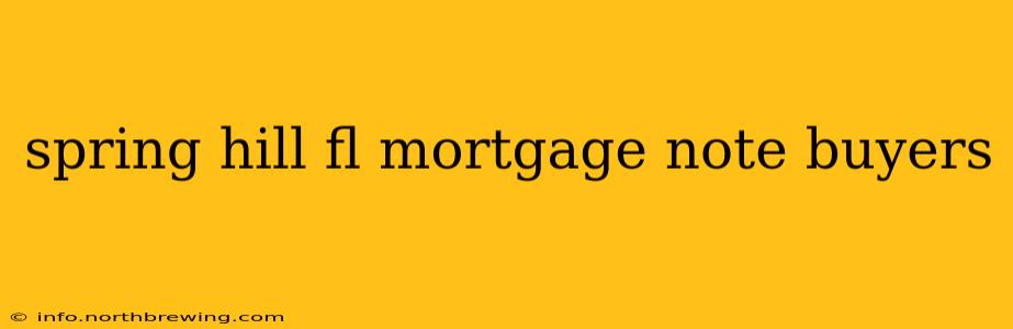 spring hill fl mortgage note buyers