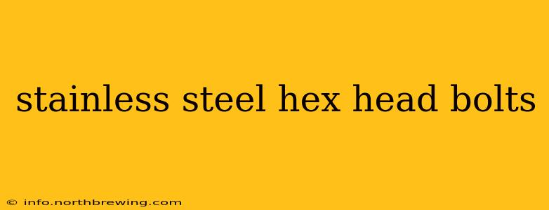 stainless steel hex head bolts