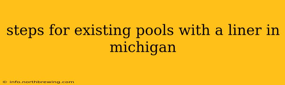steps for existing pools with a liner in michigan