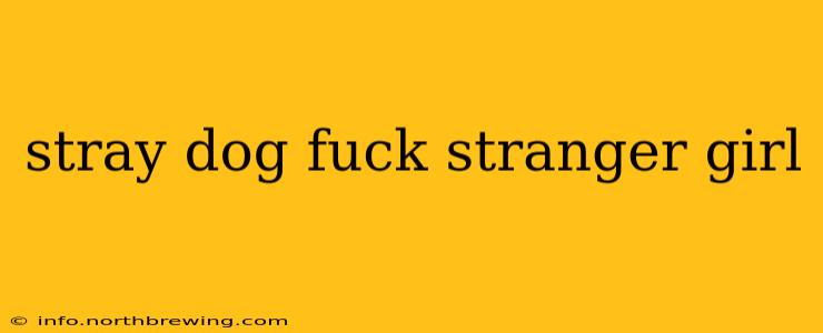 stray dog fuck stranger girl