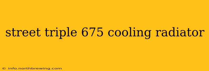 street triple 675 cooling radiator