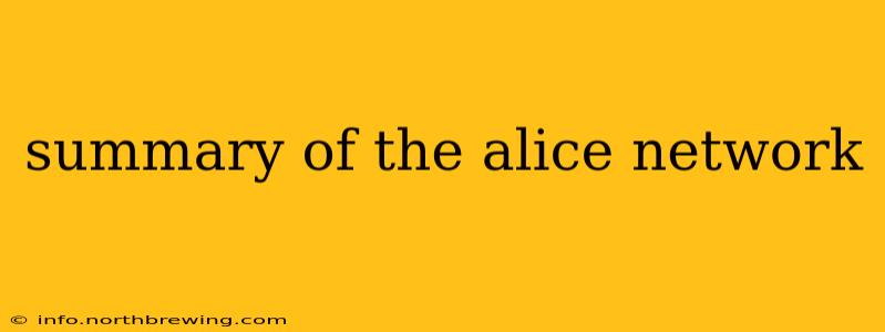 summary of the alice network