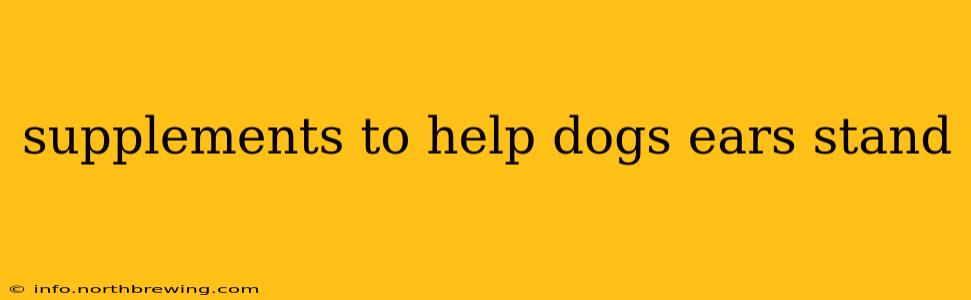 supplements to help dogs ears stand
