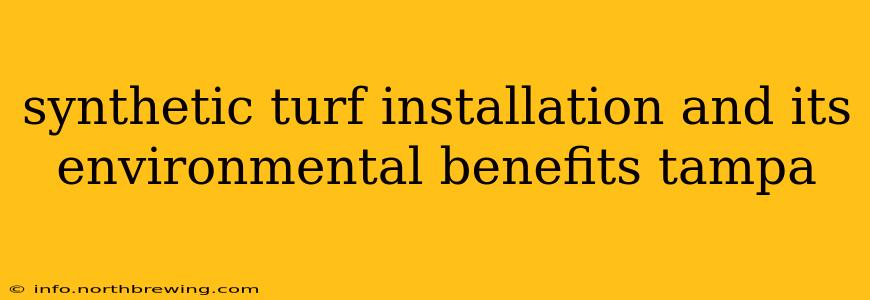synthetic turf installation and its environmental benefits tampa