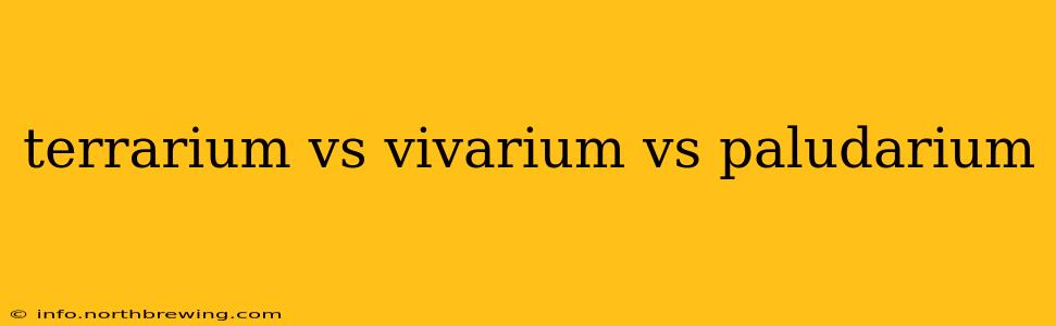 terrarium vs vivarium vs paludarium