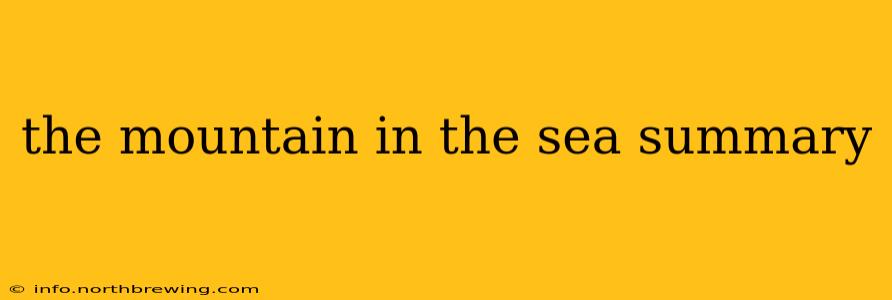 the mountain in the sea summary