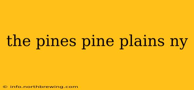 the pines pine plains ny