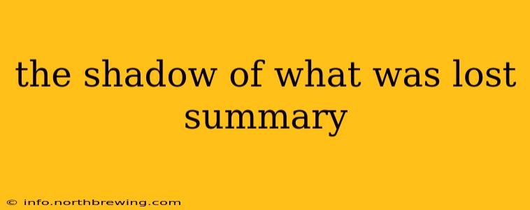 the shadow of what was lost summary