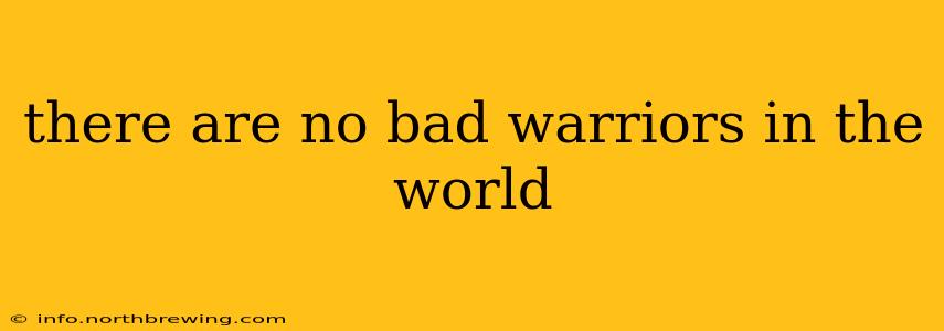 there are no bad warriors in the world