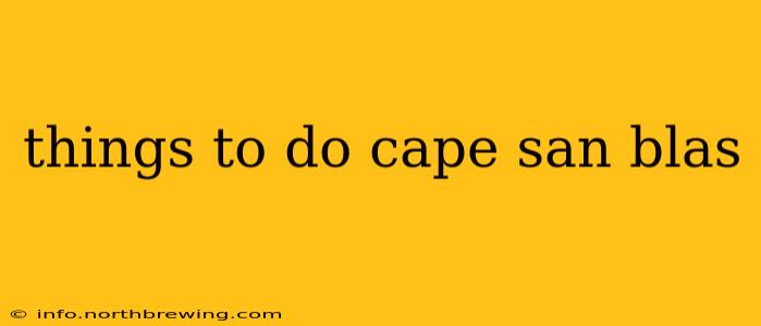 things to do cape san blas