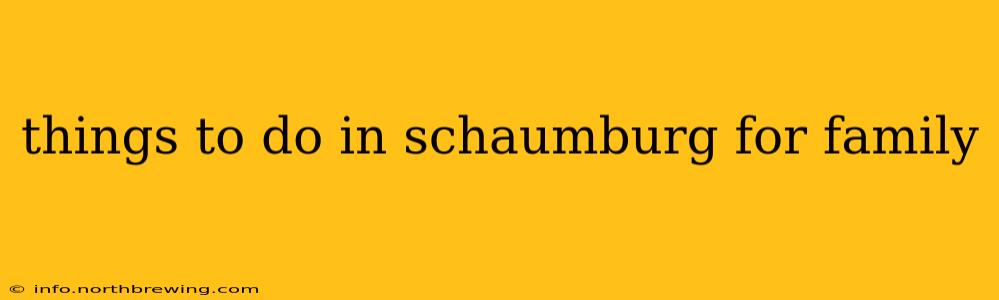 things to do in schaumburg for family