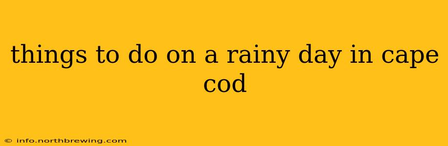 things to do on a rainy day in cape cod