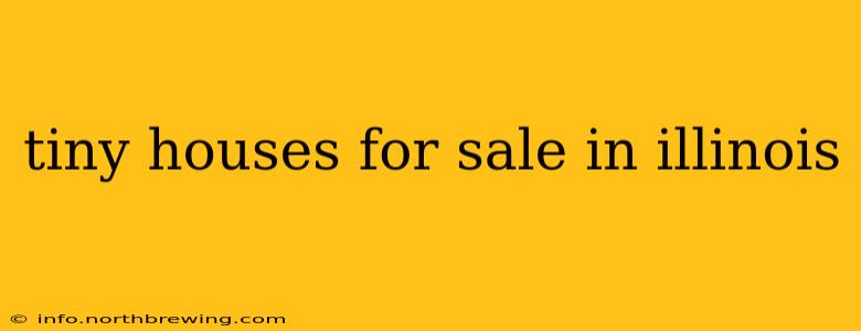 tiny houses for sale in illinois