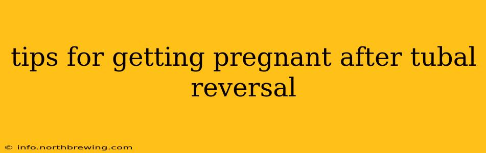 tips for getting pregnant after tubal reversal