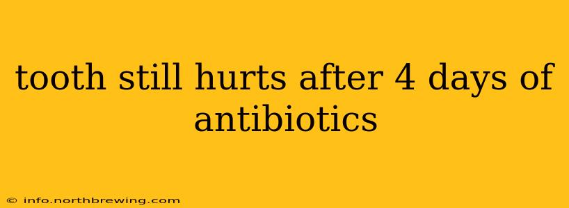 tooth still hurts after 4 days of antibiotics
