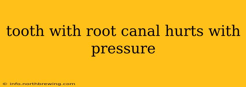 tooth with root canal hurts with pressure