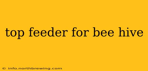 top feeder for bee hive