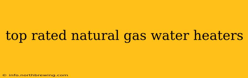 top rated natural gas water heaters